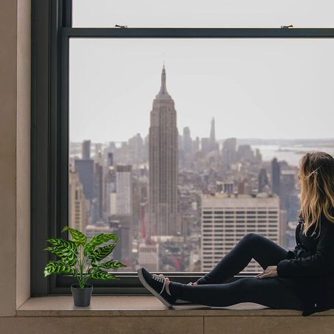 اكسونور مجموعة من 4 زهور صناعية في اصيص، زهور كاميليا حريرية صغيرة في مزهرية سيراميك للمنزل وحفلات الزفاف والمكتب والفناء وتزيين سطح الطاولة in Kuwait