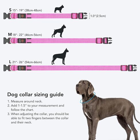 Weesiber Light Up Dog Collars - Rechargeable LED Collar - Reflective Adjustable Dog Lights for Night Walking (Blue, Large) in Saudi Arabia