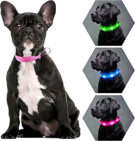 Weesiber Light Up Dog Collars - Rechargeable LED Collar - Reflective Adjustable Dog Lights for Night Walking (Blue, Large) in Saudi Arabia