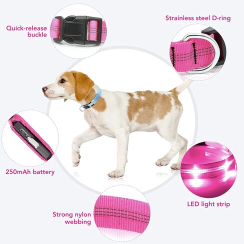Weesiber Light Up Dog Collars - Rechargeable LED Collar - Reflective Adjustable Dog Lights for Night Walking (Blue, Large) in Saudi Arabia