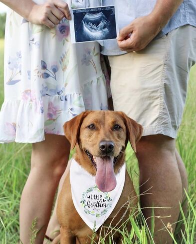 ptzizi مضحك الأخ الصغير الأبيض اكليلا من القطن مثلث كلب باندانا كلب المرايل وشاح، صغير متوسط ​​كبير صبي كلب عيد ميلاد الدعائم الطرف لمحبي الكلاب الحيوانات الأليفة هدية in Kuwait