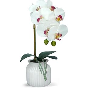 Hisow زهور الأوركيد الاصطناعية مع وعاء، 14.6 بوصة زهور الأوركيد الحريرية نباتات الأوركيد الصناعية ترتيبات الزهور الحريرية لديكور المنزل ومكتب الزفاف والفنادق والحفلات (أبيض) in Kuwait