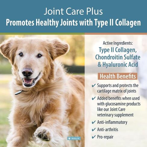 JustFoodForDogs Joint Care Plus، مكمل لمفاصل الكلاب، الكولاجين من النوع الثاني وكبريتات الكوندرويتين - 60 قطعة in Kuwait