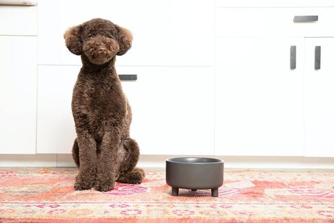 Waggo Uplift Ceramic Dog Bowl for Small Medium and Large Breeds - Heavyweight and Durable Pet Food and Water Dish Crock, Dishwasher Safe, Modern, Elevated Feeder (Small, Black) in Saudi Arabia
