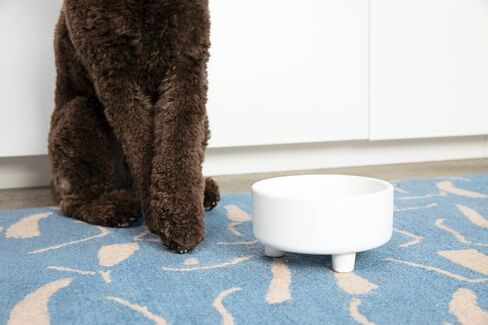 Waggo Uplift Ceramic Dog Bowl for Small Medium and Large Breeds - Heavyweight and Durable Pet Food and Water Dish Crock, Dishwasher Safe, Modern, Elevated Feeder (Small, Black) in Saudi Arabia