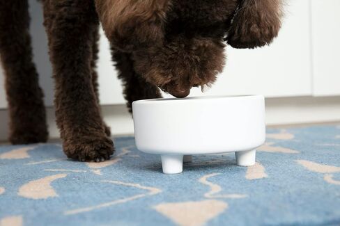 Waggo Uplift Ceramic Dog Bowl for Small Medium and Large Breeds - Heavyweight and Durable Pet Food and Water Dish Crock, Dishwasher Safe, Modern, Elevated Feeder (Small, Black) in Saudi Arabia