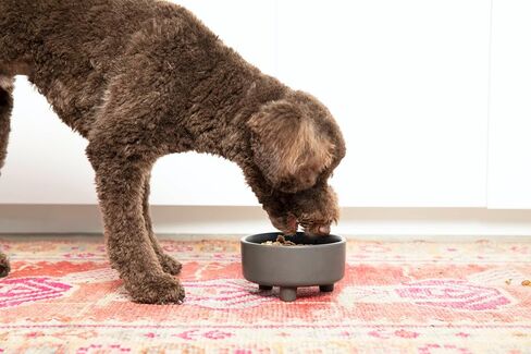 Waggo Uplift Ceramic Dog Bowl for Small Medium and Large Breeds - Heavyweight and Durable Pet Food and Water Dish Crock, Dishwasher Safe, Modern, Elevated Feeder (Small, Black) in Saudi Arabia