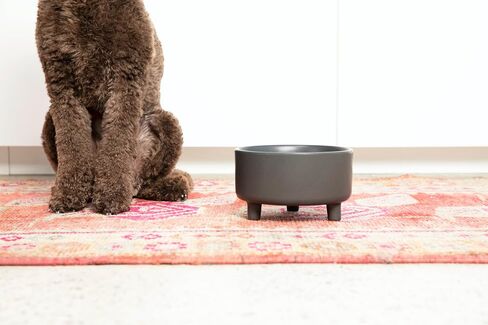 Waggo Uplift Ceramic Dog Bowl for Small Medium and Large Breeds - Heavyweight and Durable Pet Food and Water Dish Crock, Dishwasher Safe, Modern, Elevated Feeder (Small, Black) in Saudi Arabia