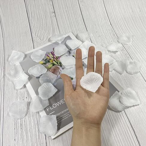 3000 قطعة من بتلات الورد الحريري الأبيض لتزيين حفلات الزفاف وبتلات الزهور الصناعية لعيد الحب، وليلة رومانسية، وطاولة الطعام، وأعياد الميلاد، والمناظر الطبيعية مع بتلات الورد in Kuwait