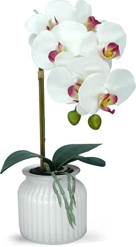 Hisow زهور الأوركيد الاصطناعية مع وعاء، 14.6 بوصة زهور الأوركيد الحريرية نباتات الأوركيد الصناعية ترتيبات الزهور الحريرية لديكور المنزل ومكتب الزفاف والفنادق والحفلات (أبيض) in Kuwait