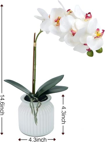 Hisow زهور الأوركيد الاصطناعية مع وعاء، 14.6 بوصة زهور الأوركيد الحريرية نباتات الأوركيد الصناعية ترتيبات الزهور الحريرية لديكور المنزل ومكتب الزفاف والفنادق والحفلات (أبيض) in Kuwait