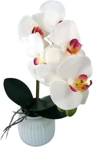 Hisow زهور الأوركيد الاصطناعية مع وعاء، 14.6 بوصة زهور الأوركيد الحريرية نباتات الأوركيد الصناعية ترتيبات الزهور الحريرية لديكور المنزل ومكتب الزفاف والفنادق والحفلات (أبيض) in Kuwait