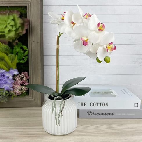 Hisow زهور الأوركيد الاصطناعية مع وعاء، 14.6 بوصة زهور الأوركيد الحريرية نباتات الأوركيد الصناعية ترتيبات الزهور الحريرية لديكور المنزل ومكتب الزفاف والفنادق والحفلات (أبيض) in Kuwait