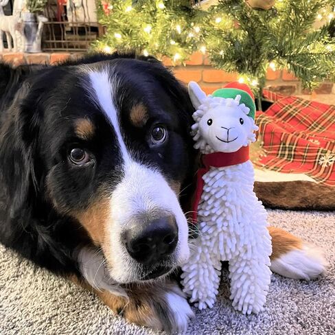 Snuggle Puppy Tender-Tuffs Easy Grab - Cute Plush Dog Toys - Stuffed Christmas Llama with Tough Puncture Resistant Squeaker in Kuwait