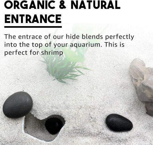 CTWPets Natural Aquarium Tunnel Cave | Shrimp Hide Cave (Black) in Saudi Arabia
