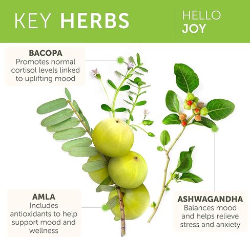 Himalaya Hello Joy Herbal Supplement, with Ashwagandha, Amla, Bacopa, Holy Basil/Tulsi, Positive Outlook, Supports Motivation, Stress Relief, Balanced Cortisol, Non-GMO, Vegan, 60 Capsules in Saudi Arabia