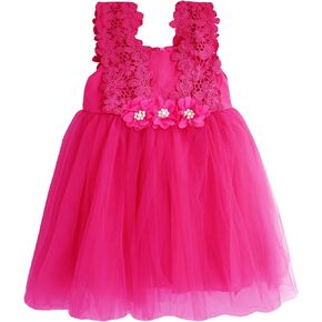 BGFKS Baby Girl Flower Lace Dress Elegant Princess Toddler Tulle Dress for Wedding Birthday Party. in Kuwait