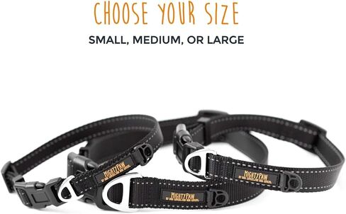 طوق كلب مايتي باو - رؤية عالية - خياطة عاكسة - طوق كلب قابل للتعديل بإبزيم - طوق كلب متين - طوق جرو ممتاز - مناسب لجميع أحجام الكلاب - أطواق مخصصة للكلاب in Kuwait