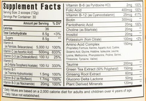 Youngevity Rebound Fx Citrus Powder, 360g – Supplement for Energy, Enriched with Vitamins, Minerals and Antioxidants – Immune System Booster Powder - Energy Vitamins Drink Mix for Women & Men (2 Pack) in Saudi Arabia