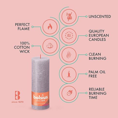 BOLSIUS 4 Pack Spice Brown Rustic Pillar Candles - 2.75 X 5 Inches - Premium European Quality - Natural Eco-Friendly Plant-Based Wax - Unscented Dripless Smokeless 60 Hour Party and Wedding Candles in Kuwait