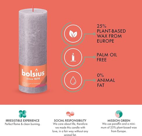 BOLSIUS 4 Pack Spice Brown Rustic Pillar Candles - 2.75 X 5 Inches - Premium European Quality - Natural Eco-Friendly Plant-Based Wax - Unscented Dripless Smokeless 60 Hour Party and Wedding Candles in Kuwait