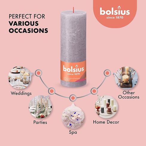 BOLSIUS 4 Pack Spice Brown Rustic Pillar Candles - 2.75 X 5 Inches - Premium European Quality - Natural Eco-Friendly Plant-Based Wax - Unscented Dripless Smokeless 60 Hour Party and Wedding Candles in Kuwait
