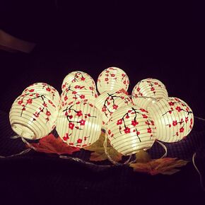 JYWJ ساكورا (الكرز) زهور بيضاء اللون صيني/ياباني من القماش الصغير/مصباح 3 بوصة قطر سلسلة ضوء LED طول 78.7 بوصة 2-AA بطارية تعمل بالطاقة وشاحن USB هدية للأطفال (أحمر) in Kuwait