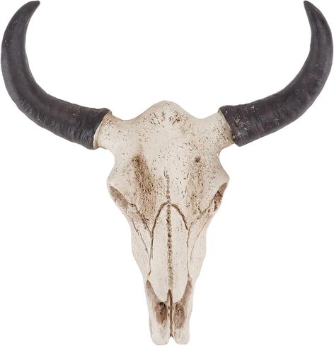 Longhorn Horns Skull Cow Skull Wall Hanging Halloween Animal Skull Wall Hanging Skull Wall Sculpture Faux Longhorn Wall Hanging Skull Resin Bull Horn Figurines Ornaments in Saudi Arabia