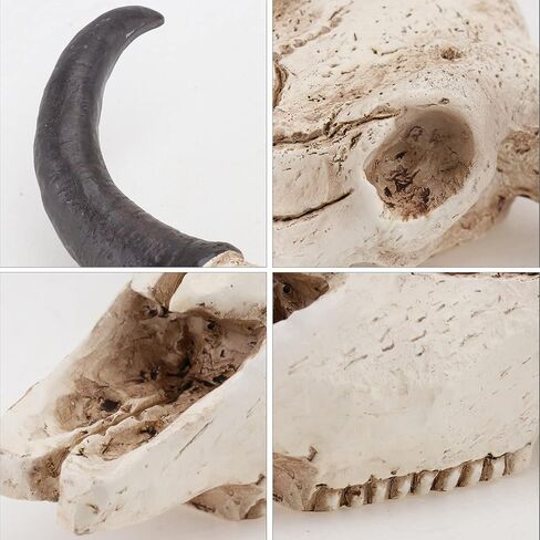 Longhorn Horns Skull Cow Skull Wall Hanging Halloween Animal Skull Wall Hanging Skull Wall Sculpture Faux Longhorn Wall Hanging Skull Resin Bull Horn Figurines Ornaments in Saudi Arabia