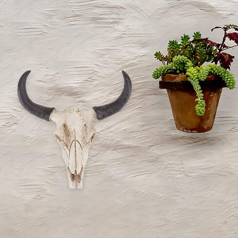 Longhorn Horns Skull Cow Skull Wall Hanging Halloween Animal Skull Wall Hanging Skull Wall Sculpture Faux Longhorn Wall Hanging Skull Resin Bull Horn Figurines Ornaments in Saudi Arabia