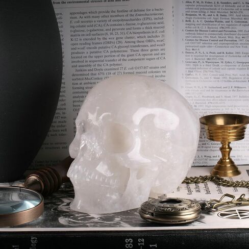 MR.SKULL جمجمة كريستال كوارتز شفافة مقاس 5.0 بوصة، واقعية للغاية، حجر شفاء كريستالي، منحوتة يدويًا من الأحجار الكريمة. (كوارتز أبيض) in Kuwait