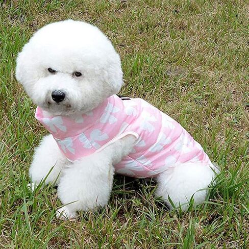 Ipetboom 1pc Winter Dog Vest Coat Dog Waterproof Pet Dog Winter Vest Dog Warm Pet Coat Pet Clothes Dog Winter Jacket Dog Pet Supplies for Dog Pet Size S Pink in Saudi Arabia
