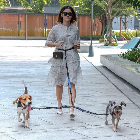 Dual Dog Leash | Hands Free Dog Leash 2 Dogs | Double Dog Leash for Walking & Training & Hiking | Comfortable Shock Absorbing Reflective | 360°Swivel 2 Dog Coupler | No Pull Y Dog Leash (Coupler Only) in Kuwait