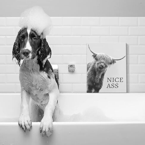 Kasluolo Highland Cow Bathroom Decor Wall Art Funny Cow Picture Farmhouse Cattle Black and White Bathroom Painting Wall Décor for Bathroom Toilet Framed Artwork 12x16 inch in Saudi Arabia