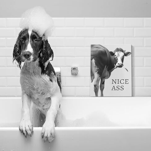 Kasluolo Highland Cow Bathroom Decor Wall Art Funny Cow Picture Farmhouse Cattle Black and White Bathroom Painting Wall Décor for Bathroom Toilet Framed Artwork 12x16 inch in Saudi Arabia