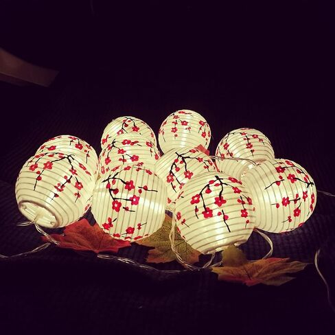 JYWJ ساكورا (الكرز) زهور بيضاء اللون صيني/ياباني من القماش الصغير/مصباح 3 بوصة قطر سلسلة ضوء LED طول 78.7 بوصة 2-AA بطارية تعمل بالطاقة وشاحن USB هدية للأطفال (أحمر) in Kuwait