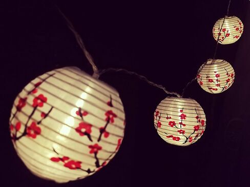 JYWJ ساكورا (الكرز) زهور بيضاء اللون صيني/ياباني من القماش الصغير/مصباح 3 بوصة قطر سلسلة ضوء LED طول 78.7 بوصة 2-AA بطارية تعمل بالطاقة وشاحن USB هدية للأطفال (أحمر) in Kuwait