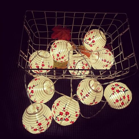 JYWJ ساكورا (الكرز) زهور بيضاء اللون صيني/ياباني من القماش الصغير/مصباح 3 بوصة قطر سلسلة ضوء LED طول 78.7 بوصة 2-AA بطارية تعمل بالطاقة وشاحن USB هدية للأطفال (أحمر) in Kuwait