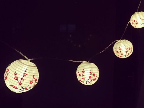 JYWJ ساكورا (الكرز) زهور بيضاء اللون صيني/ياباني من القماش الصغير/مصباح 3 بوصة قطر سلسلة ضوء LED طول 78.7 بوصة 2-AA بطارية تعمل بالطاقة وشاحن USB هدية للأطفال (أحمر) in Kuwait