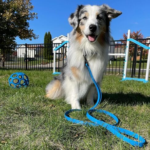 PACKT - Ultralite Waterproof Two Handle Dog Leash Large Dogs |Made in USA, 100% Waterproof & Stronger Than Leather Dog Leash for Medium Dogs |Outdoor Dog Leash with Two Handles| Berry - 5 ft. in Kuwait