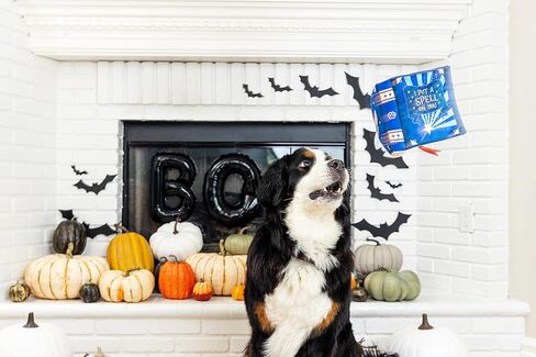 لعبة قطيفة للكلاب من فرينج ستوديو، بعبارة «I Put A Spell On You» (314032) in Kuwait