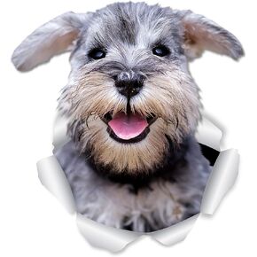 Winston & Bear Super Schnauzer Dog Wall Decals - 2 Pack - Schnauzer 3D Sticker Decals for Walls, Cars, Toilet and More - Retail Packaged Gray Schnauzer Gifts in Kuwait