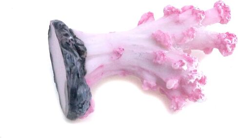 Semetall 2Pcs Sea Coral Aquarium Ornament, Artificial Sea Coral Plants Decorations for Fish Tank and Aquarium(Pink) in Saudi Arabia