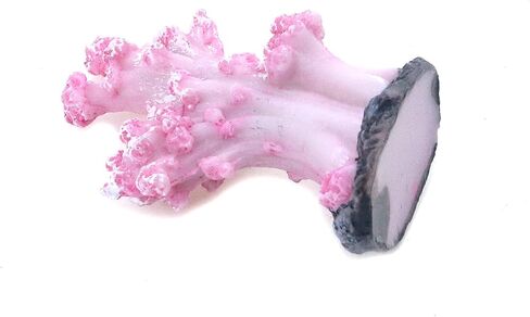Semetall 2Pcs Sea Coral Aquarium Ornament, Artificial Sea Coral Plants Decorations for Fish Tank and Aquarium(Pink) in Saudi Arabia