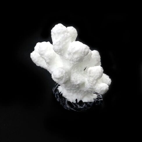 Semetall 2Pcs Sea Coral Aquarium Ornament, Artificial Sea Coral Plants Decorations for Fish Tank and Aquarium(Pink) in Saudi Arabia