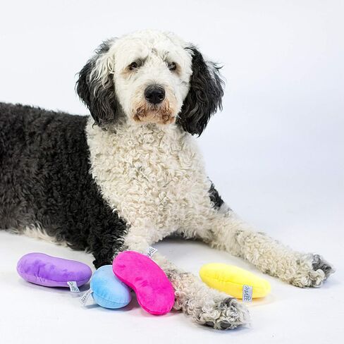 Midlee Jelly Bean Easter Dog Toy- Set of 4 (Small) in Saudi Arabia