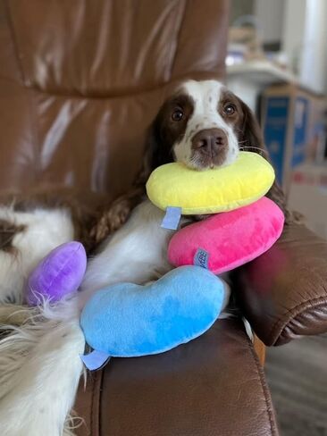 Midlee Jelly Bean Easter Dog Toy- Set of 4 (Small) in Saudi Arabia