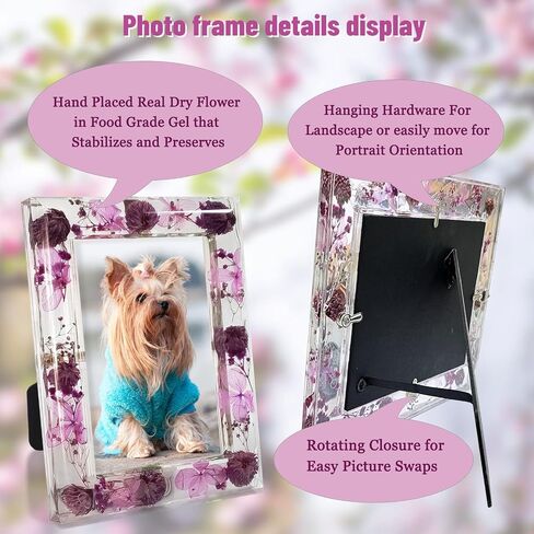 إطارات صور FONMY مقاس 5 × 7 إطار أكريليك لشاطئ البحر والمحيط لديكور الحائط وعرض الطاولة، إطار صورة يستحق الهدايا التذكارية، إطار صورة Seasell للمحيط الأزرق كديكور منزلي. in Saudi Arabia