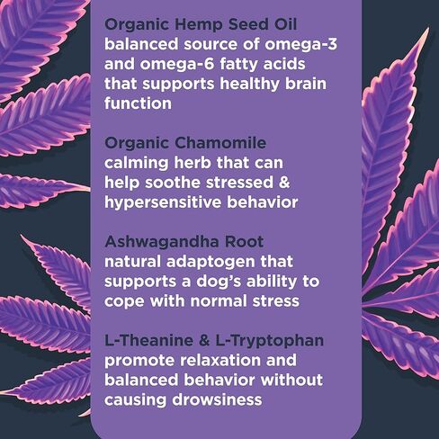 مكمل Nulo الوظيفي المهدئ للكلاب، مصنوع من بذور القنب العضوية وجذور أشواغاندا، يساعد على تقليل إجهاد الكلاب ويعزز السلوك المتوازن، 90 مضغًا ناعمًا in Kuwait