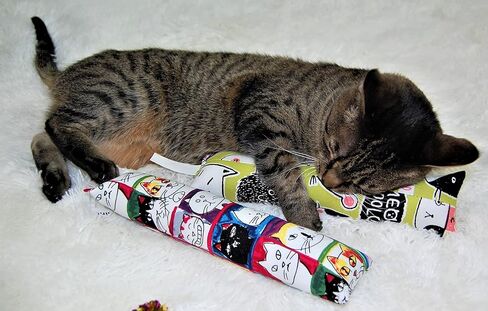 واي في بوينت لعبة عصا ركل للقطط مقاس 11 انش مع النعناع البري - عبوة من قطعتين - مادة قماشية متينة - قطن غير قابل للازالة والنعناع البري - بدون حشو - كاملة مع 5 كرات مجعدة in Kuwait